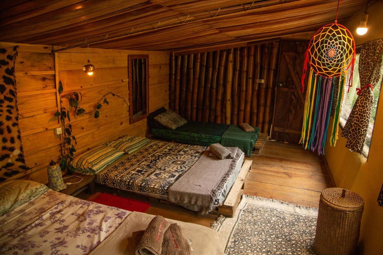 Eco Hostel Organic Life Trindade  Exteriör bild